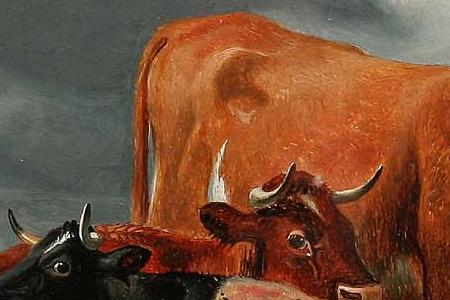 Фрагмент Cattle