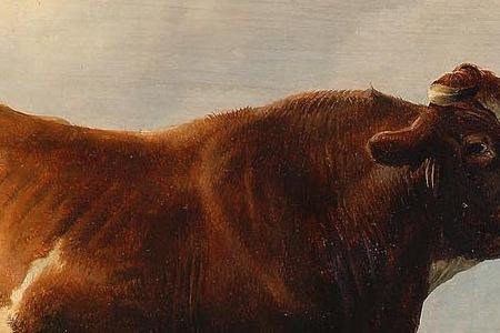 Фрагмент Cattle in a meadow