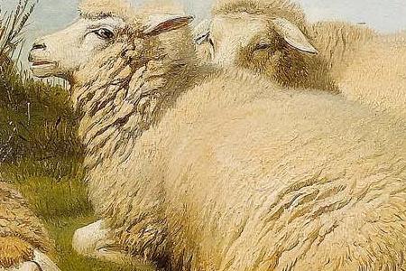 Фрагмент Cattle