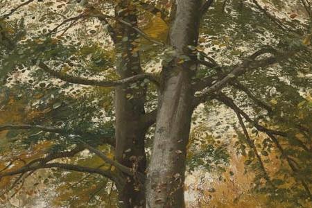 Фрагмент CHARLOTTENDUN FOREST