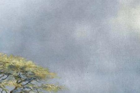 Фрагмент CHEETAHS