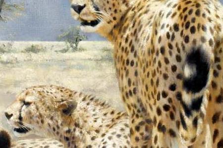 Фрагмент CHEETAHS