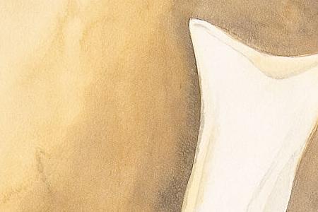 Фрагмент Chef to go.