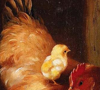 Фрагмент Chicken chicks and pigeons