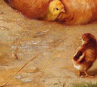 Фрагмент Chicken chicks and pigeons