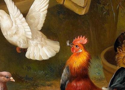 Фрагмент Chickens a dove and pigeons in a farmyard