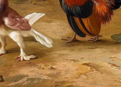 Фрагмент Chickens a dove and pigeons in a farmyard