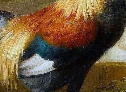 Фрагмент Chickens and chicks in a farmyard