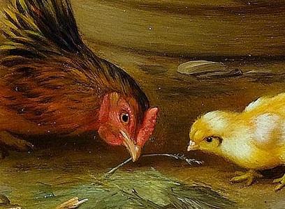 Фрагмент Chickens and chicks in a farmyard