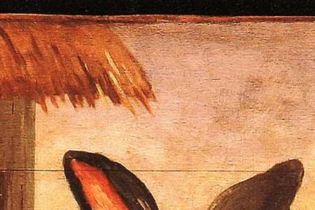 Фрагмент COTTONTAIL