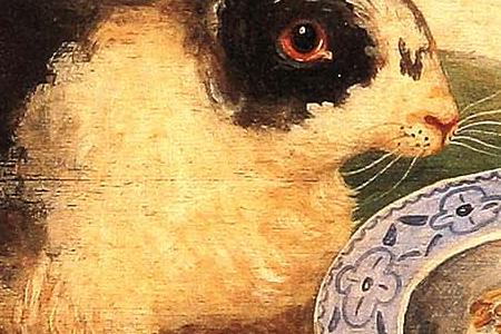 Фрагмент COTTONTAIL