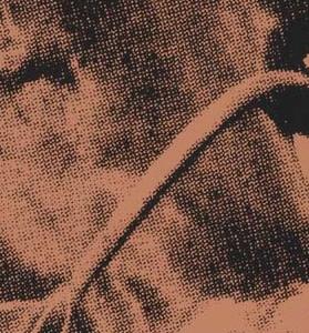 Фрагмент COW на голубом