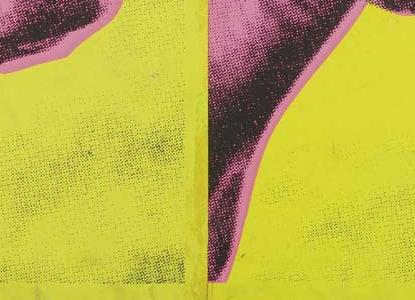 Фрагмент COW розовая пара