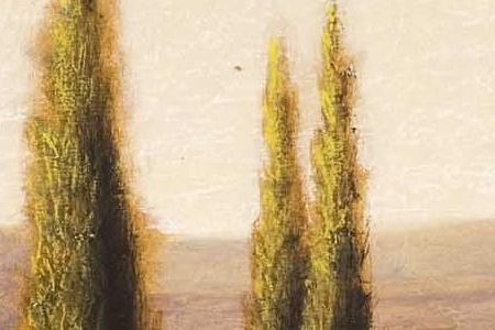 Фрагмент Cypress vista I.