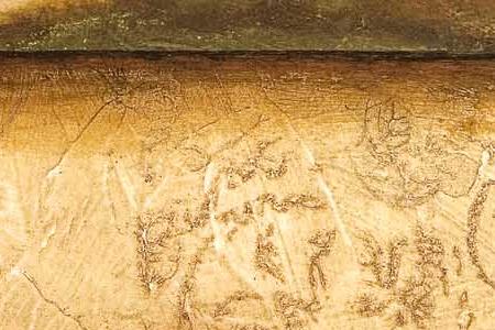 Фрагмент Cypress vista II.