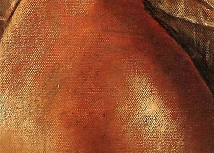 Фрагмент Декоративная Груша