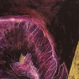 Фрагмент Декоративный цветок черный фон фиолетовый ирис