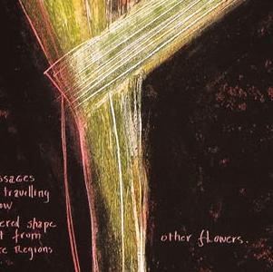 Фрагмент Декоративный цветок черный фон фиолетовый ирис