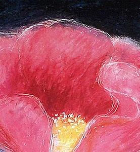 Фрагмент Декоративный цветок черный фон красный цветок