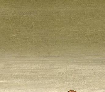 Фрагмент DESIRIDIETE