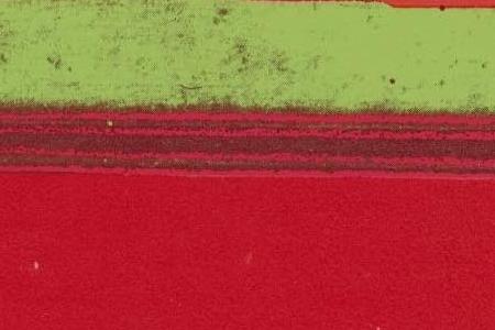 Фрагмент DETAILS OF RENAISSANCE PAINTINGS LEONARDO DA VINCI THE ANNUNC