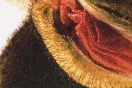 Фрагмент Detwil am See