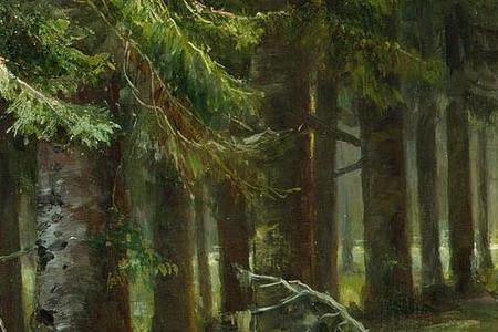 Фрагмент Девственный лес