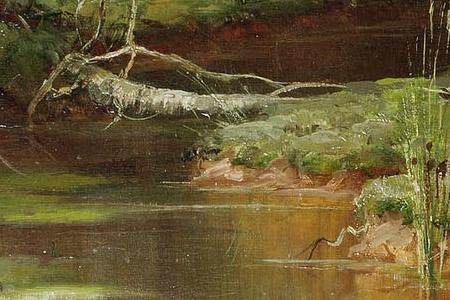 Фрагмент Девственный лес