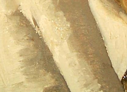 Фрагмент Девушка с птичкой