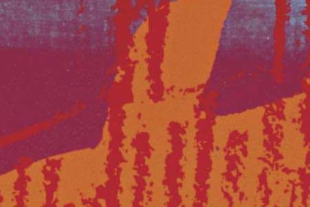 Фрагмент DOLLAR на радужном