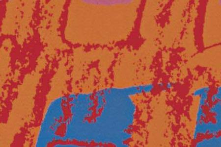 Фрагмент DOLLAR на радужном