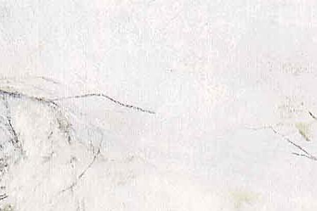 Фрагмент Дорога в березовой роще.