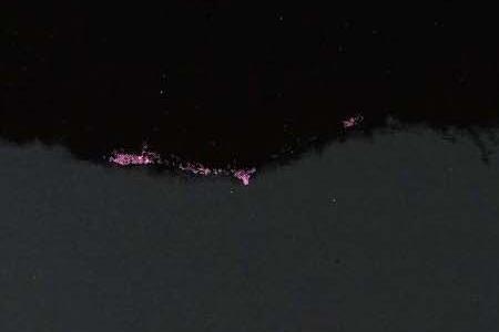 Фрагмент DRACULA в ночи