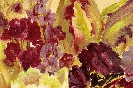 Фрагмент Dragonfly tulip.