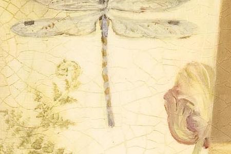 Фрагмент Dragonfly tulip.