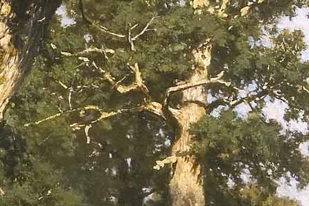 Фрагмент Дубовая роща. 1887.