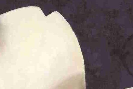 Фрагмент Элегантный цветок 1