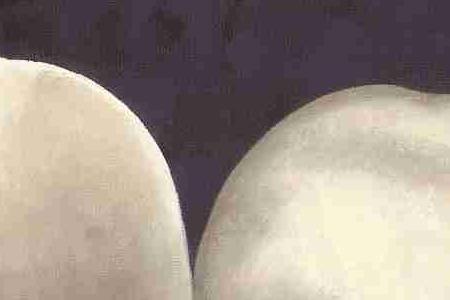 Фрагмент Элегантный цветок 2