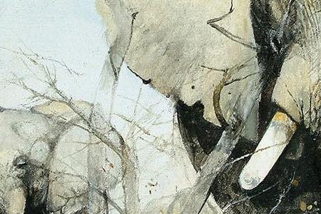 Фрагмент Elephants on Liwondi