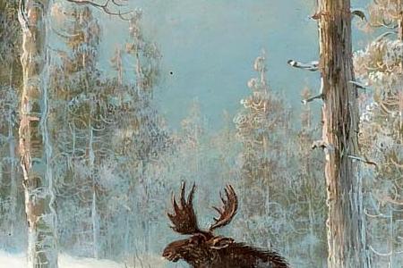 Фрагмент Ели в снегу