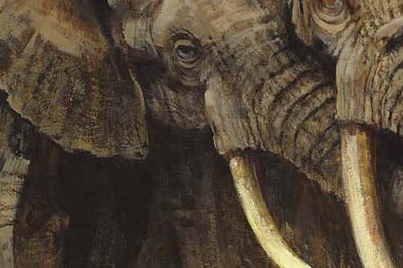 Фрагмент -Escort to Eternity