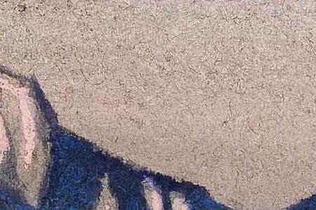 Фрагмент ЭСКИЗ ИЗ СЕРИИ "ГИМАЛАИ"