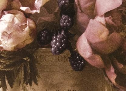 Фрагмент Estate Peonies