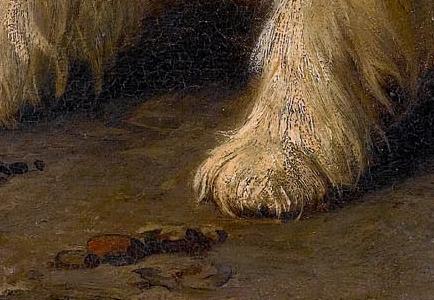 Фрагмент Expectation