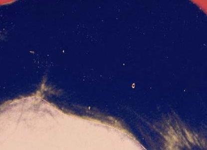 Фрагмент FARAH DIBA PAHLAVI (EMPRESS OF IRAN) розовый фон