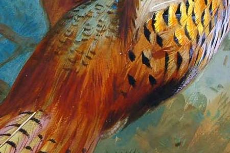 Фрагмент Фазан осенью