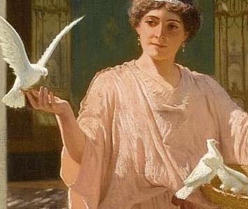 Фрагмент FEEDING THE DOVES