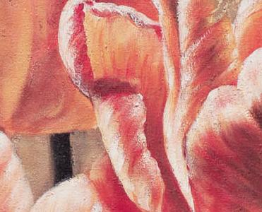 Фрагмент Floral Iris Tulip