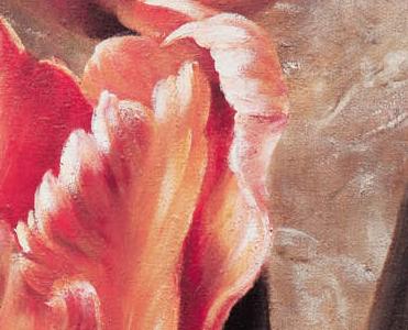 Фрагмент Floral Iris Tulip