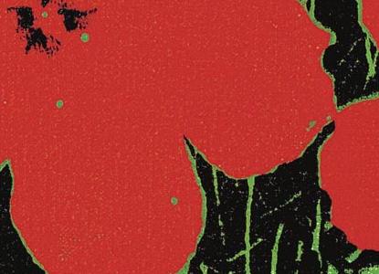 Фрагмент FLOWERS бордовые цветы